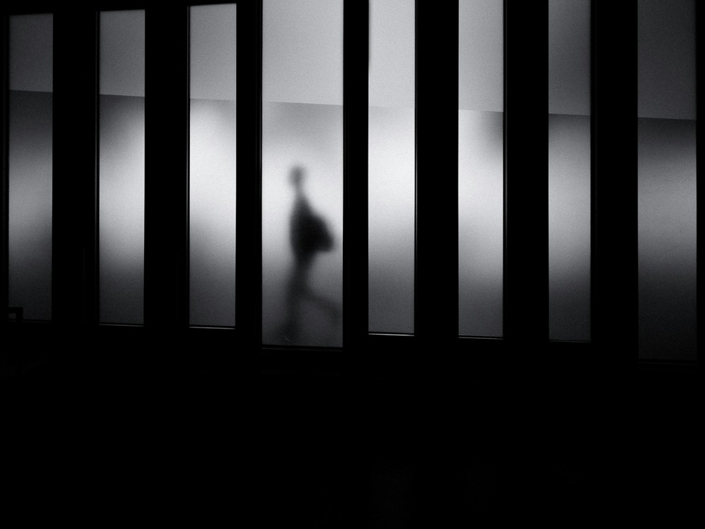 Blurred black and white image of a person walking behind tall blinds.