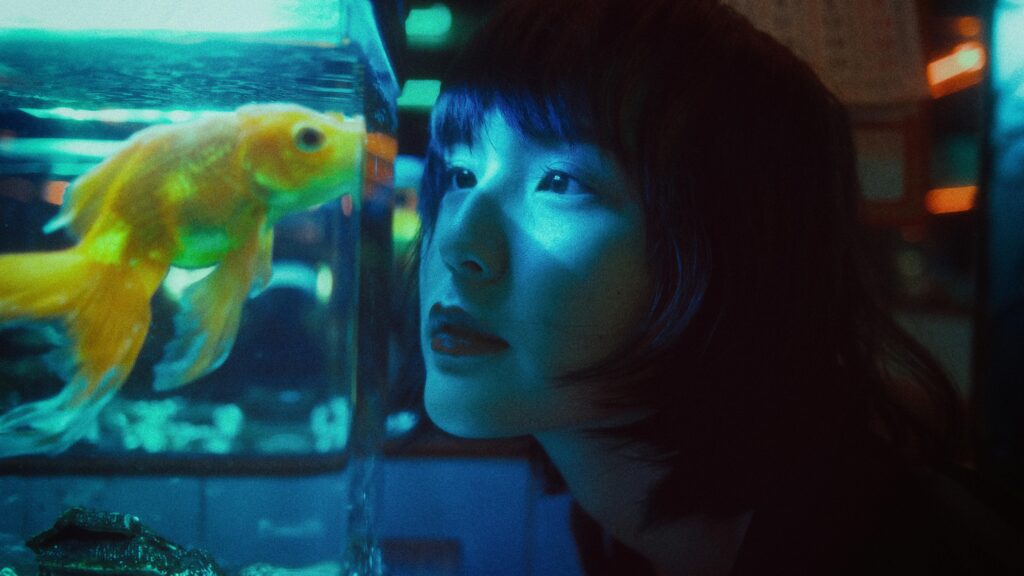 A woman with short hair looks closely at a goldfish swimming in a glass tank, illuminated by blue and green lights, pondering Goldfish Theory and the future of search with AI.